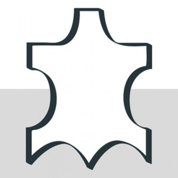 V006