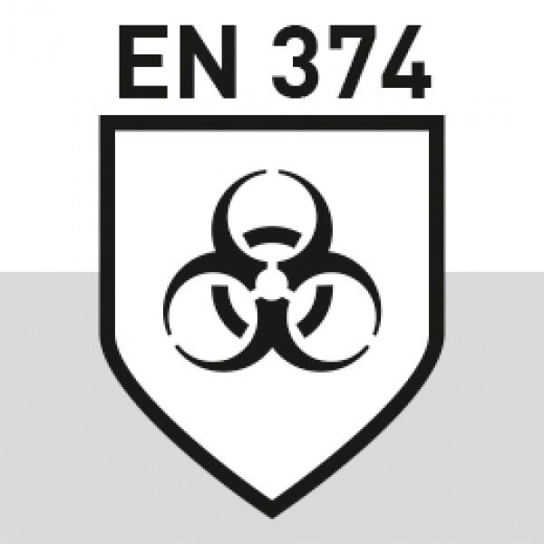 V011