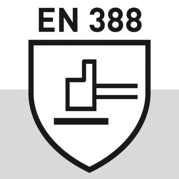 V013