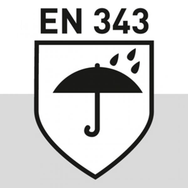 W034