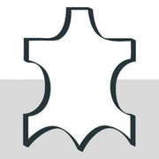 V006